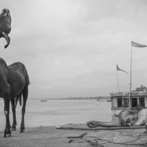 El sueño del Ganges - Andres Boal